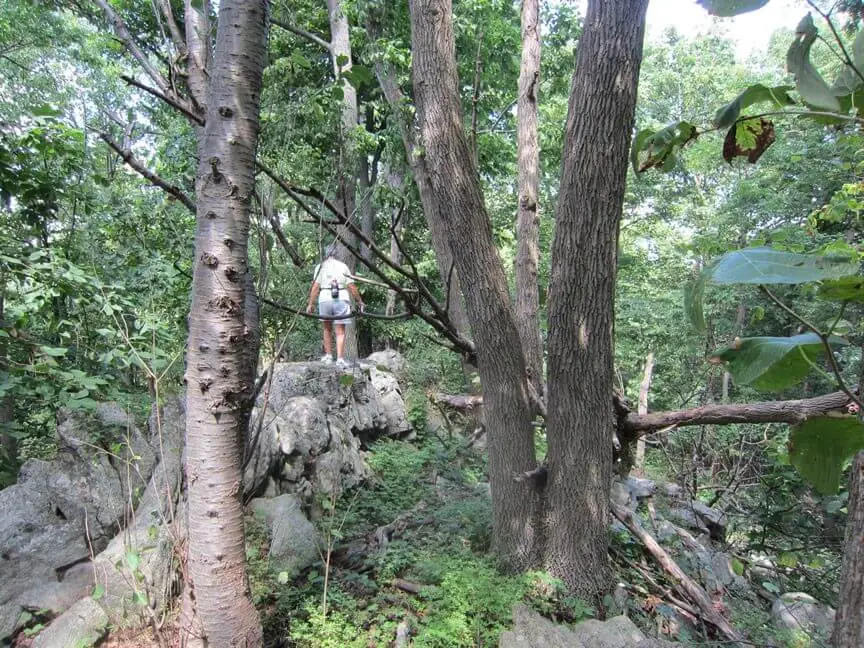 The Cushetunk Connector trail through forested terrain, linking key sections of the Cushetunk Mountain preserve
