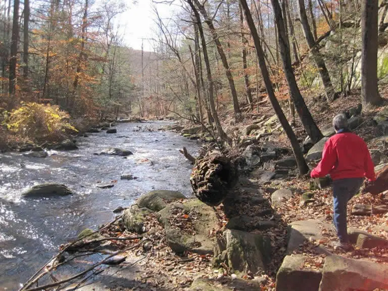 The Black River gorge at Hacklebarney State Park in New Jersey, where rocky terrain meets rushing water along a dramatic trail