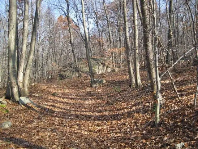 The Musconetcong River Gorge in New Jersey, a scenic stretch of river valley carved through the Highlands landscape