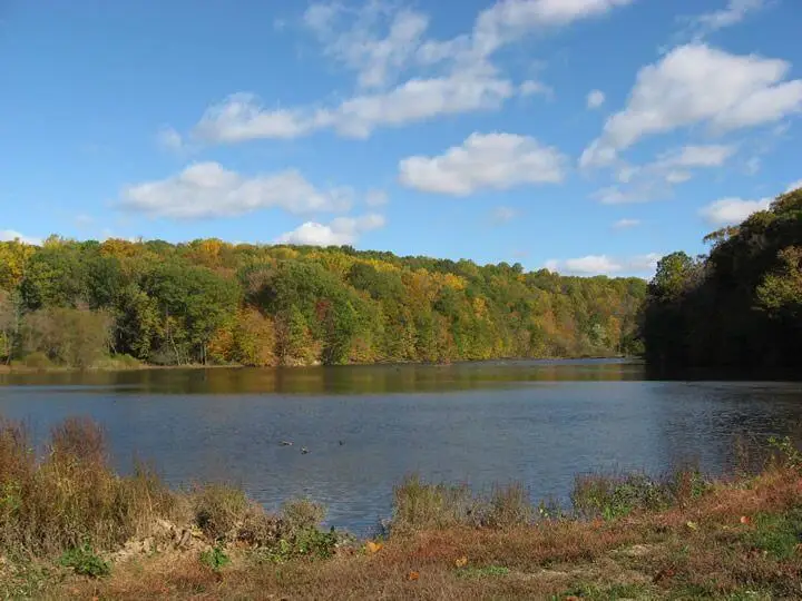 The tranquil shoreline of Lake Solitude in Hunterdon County, where calm water meets tree-lined banks on a peaceful hiking loop