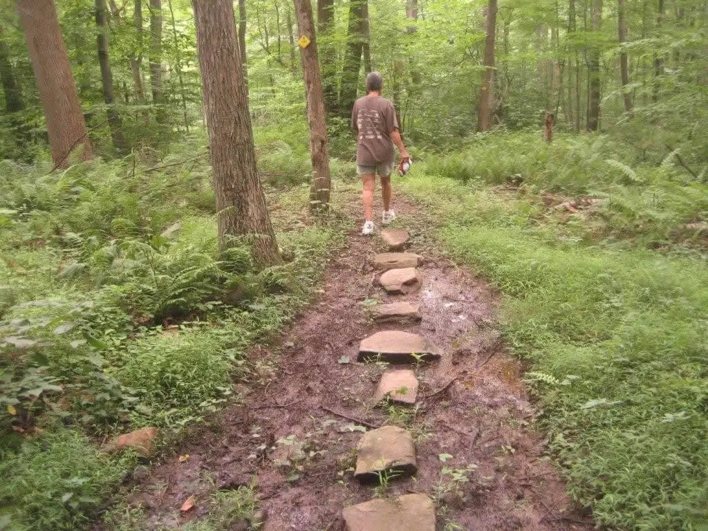 Stepping stones crossing a stream at Miquin Woods, a playful and scenic trail feature in Hunterdon County, New Jersey
