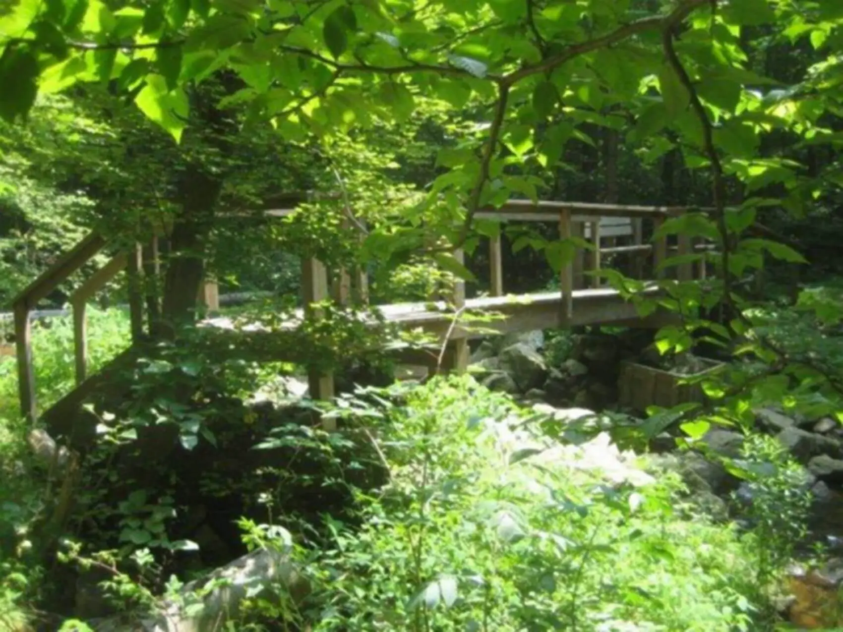 A wooden footbridge crossing a stream on a wooded hiking trail, inviting explorers to venture further
